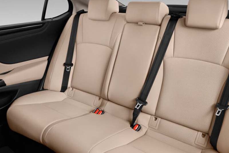 Lexus ES 250 Ultra Luxury AWD 2022 Back Interior