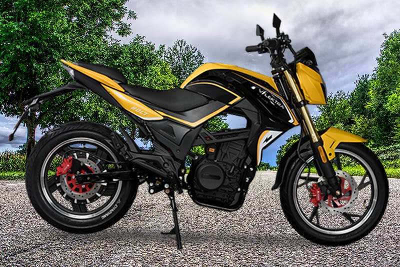 Vlektra Bolt 2025 Bumblebee Colour