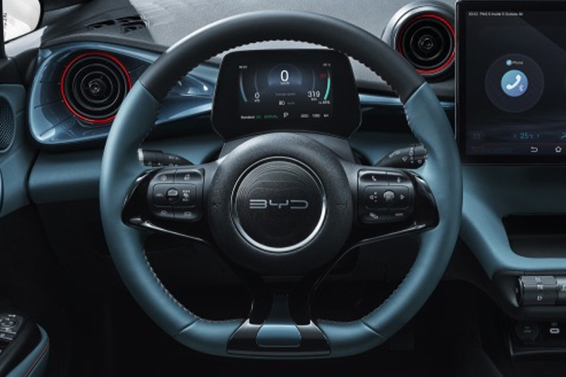 BYD Dolphin 2025 Interior Steering View