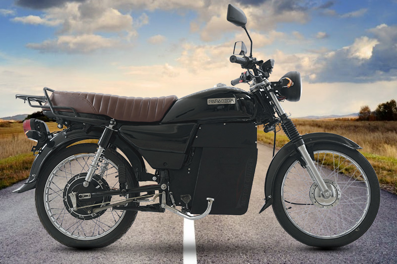 Paradigm Evolve 2026 Brown & Black