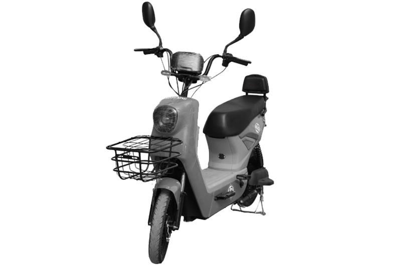 Road King Paddle-IB 2026 Gray Colour