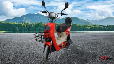 Road King Paddle-IB 2026 Price in Pakistan