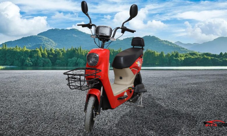 Road King Paddle-IB 2026 Price in Pakistan