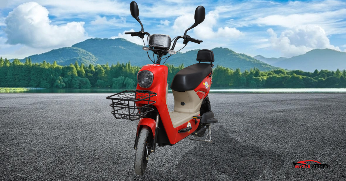 Road King Paddle-IB 2026 Price in Pakistan