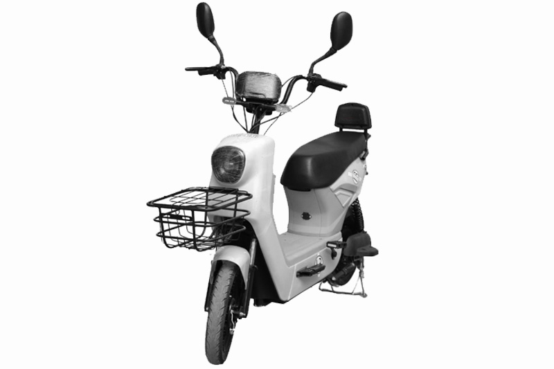 Road King Paddle-IB 2026 White Colour