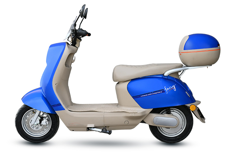Crown Fairy 2026 Blue Colour