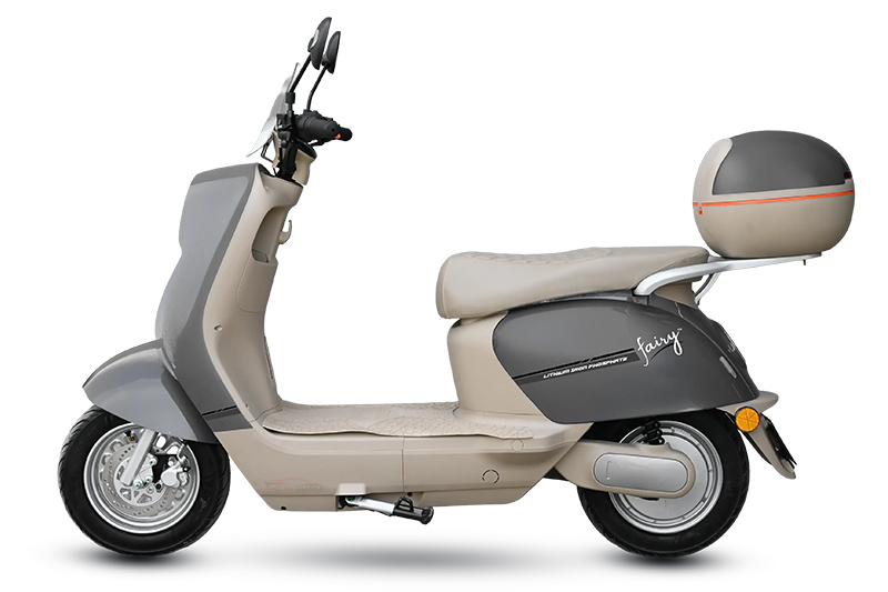 Crown Fairy 2026 Grey Colour