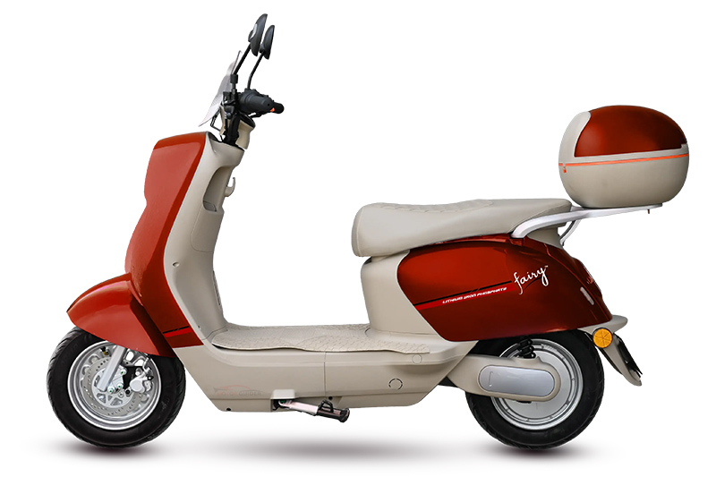 Crown Fairy 2026 Red Colour