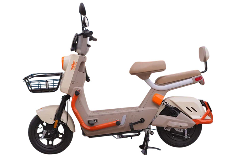 Super Star Scooty Pigeon 2026 Orange Colour