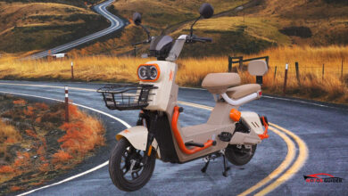 Super Star Scooty Pigeon Price in Pakistan 2026