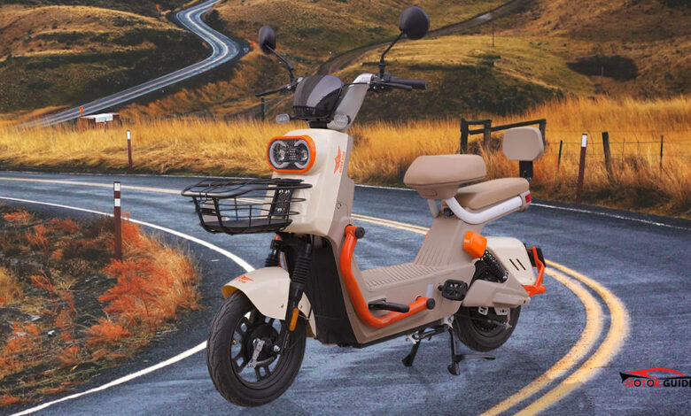 Super Star Scooty Pigeon Price in Pakistan 2026