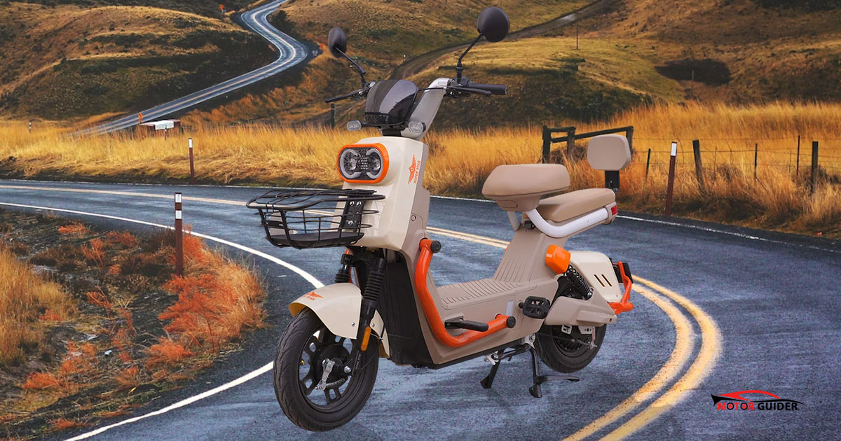 Super Star Scooty Pigeon Price in Pakistan 2026
