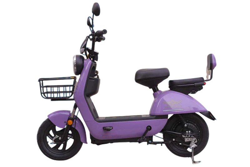Super Star Scooty Zippo 2026 Purple Colour